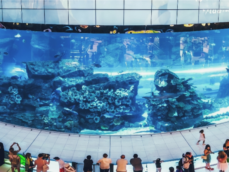 dubai mall aquarium