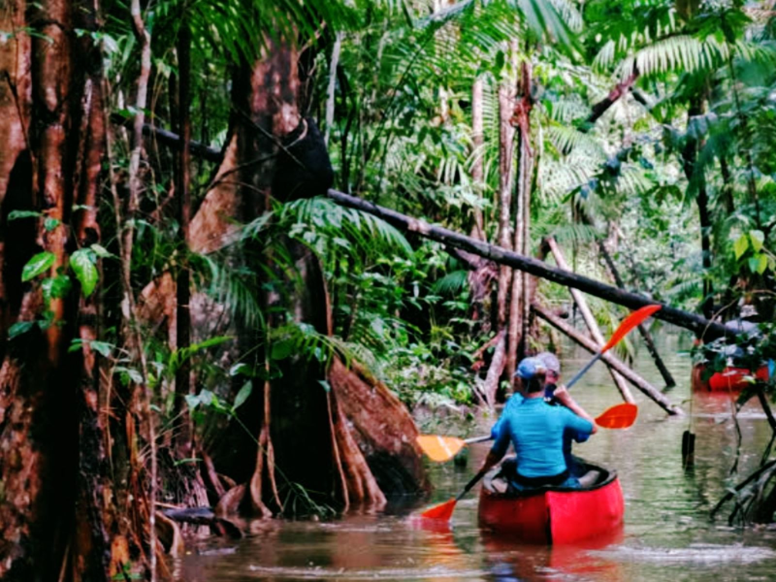 suriname jungle trip